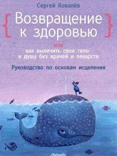 Читайте книги онлайн на Bookidrom.ru! Бесплатные книги в одном клике Сергей Ковалёв - Возвращение к здоровью или как вылечить свое тело и душу без врачей и лекарств. Руководство по основам исцеления