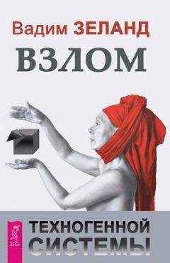 Читайте книги онлайн на Bookidrom.ru! Бесплатные книги в одном клике Вадим Зеланд - Взлом техногенной системы