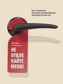 Читайте книги онлайн на Bookidrom.ru! Бесплатные книги в одном клике Эдвард Хэлловэлл - Не отвлекайте меня! Как сохранять высокую концентрацию несмотря ни на что