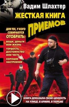 Читайте книги онлайн на Bookidrom.ru! Бесплатные книги в одном клике Вадим Шлахтер - Жесткая книга приемов