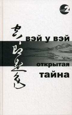 Читайте книги онлайн на Bookidrom.ru! Бесплатные книги в одном клике Вэй Вэй - Открытая тайна