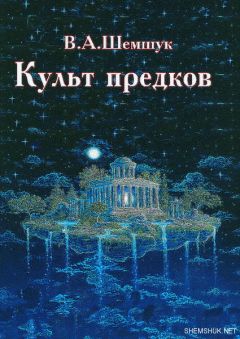 Читайте книги онлайн на Bookidrom.ru! Бесплатные книги в одном клике Владимир Шемшук - Культ предков