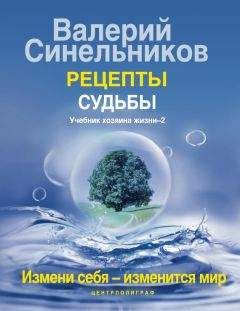 Читайте книги онлайн на Bookidrom.ru! Бесплатные книги в одном клике Валерий Синельников - Рецепты судьбы. Учебник Хозяина жизни–2