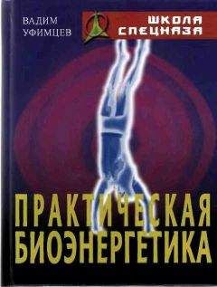 Читайте книги онлайн на Bookidrom.ru! Бесплатные книги в одном клике Вадим Уфимцев - Практическая биоэнергетика. Оригинальная методика для сотрудников спецслужб