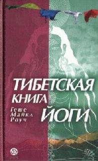 Читайте книги онлайн на Bookidrom.ru! Бесплатные книги в одном клике Майкл Роуч - ТИБЕТСКАЯ КНИГА ЙОГИ