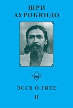 Читайте книги онлайн на Bookidrom.ru! Бесплатные книги в одном клике Шри Ауробиндо - Шри Ауробиндо. Эссе о Гите – II