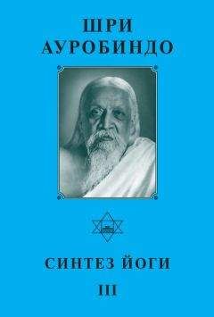 Читайте книги онлайн на Bookidrom.ru! Бесплатные книги в одном клике Шри Ауробиндо - Шри Ауробиндо. Синтез Йоги – III