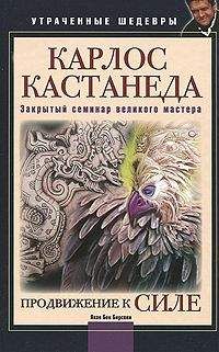 Читайте книги онлайн на Bookidrom.ru! Бесплатные книги в одном клике Яков Бирсави - Карлос Кастанеда. Закрытый семинар великого мастера. Продвижение к Силе