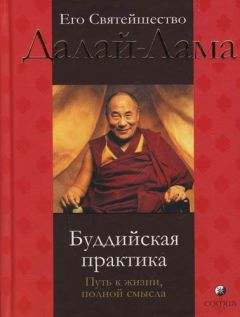 Читайте книги онлайн на Bookidrom.ru! Бесплатные книги в одном клике Тензин Гьяцо - Буддийская практика: путь к жизни полной смысла