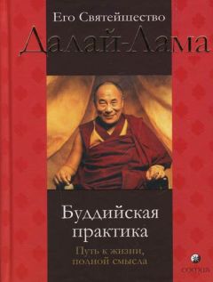 Тензин Гьяцо - Буддийская практика: путь к жизни полной смысла