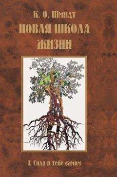 Читайте книги онлайн на Bookidrom.ru! Бесплатные книги в одном клике К. Шмидт - Новая школа жизни. I том. Сила в тебе самом