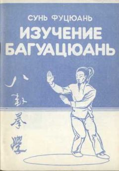 Читайте книги онлайн на Bookidrom.ru! Бесплатные книги в одном клике Сунь Фуцюань - Багуацюань сюэ