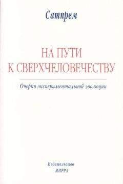 Читайте книги онлайн на Bookidrom.ru! Бесплатные книги в одном клике Сатпрем - НА ПУТИ К СВЕРХЧЕЛОВЕЧЕСТВУ: Очерки экспериментальной эволюции