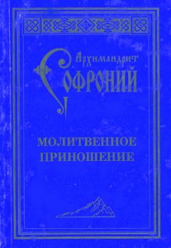 Читайте книги онлайн на Bookidrom.ru! Бесплатные книги в одном клике Софроний Сахаров - Молитвенное приношение старца Софрония