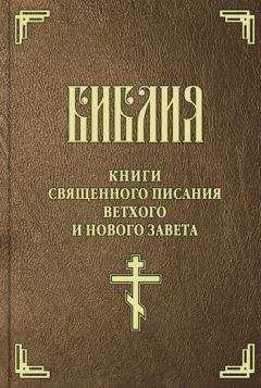 Читайте книги онлайн на Bookidrom.ru! Бесплатные книги в одном клике Священное Писание - Библия. Синодальный перевод