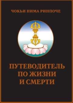 Читайте книги онлайн на Bookidrom.ru! Бесплатные книги в одном клике Чокьи Ринпоче - Путеводитель по жизни и смерти
