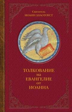 Читайте книги онлайн на Bookidrom.ru! Бесплатные книги в одном клике Иоанн Златоуст - Толкование на Евангелие от Иоанна