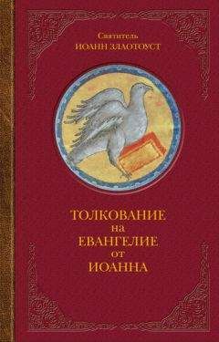 Читайте книги онлайн на Bookidrom.ru! Бесплатные книги в одном клике Иоанн Златоуст - Толкование на Евангелие от Иоанна