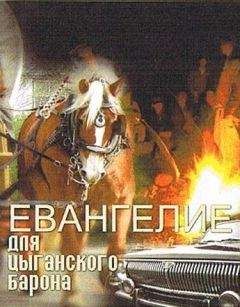 Читайте книги онлайн на Bookidrom.ru! Бесплатные книги в одном клике Пётр Загоруйко - Евангелие для цыганского барона