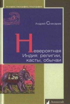 Читайте книги онлайн на Bookidrom.ru! Бесплатные книги в одном клике Андрей Снесарев - Невероятная Индия: религии, касты, обычаи