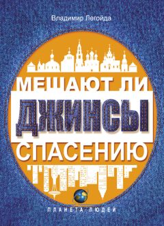 Читайте книги онлайн на Bookidrom.ru! Бесплатные книги в одном клике Владимир Легойда - Мешают ли джинсы спасению. Опыт современной апологетики