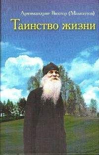 Читайте книги онлайн на Bookidrom.ru! Бесплатные книги в одном клике Архимандрит Виктор (Мамонтов) - Таинство Жизни
