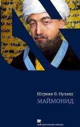 Читайте книги онлайн на Bookidrom.ru! Бесплатные книги в одном клике Шервин Нуланд - Маймонид