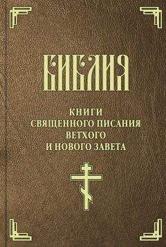 Читайте книги онлайн на Bookidrom.ru! Бесплатные книги в одном клике Священное Писание - Библия. Книги Священного Писания Ветхого и Нового Завета