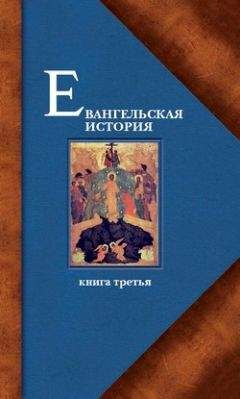 Протоиерей Павел Матвеевский - Евангельская история. Книга третья. Конечные события Евангельской истории