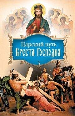 Читайте книги онлайн на Bookidrom.ru! Бесплатные книги в одном клике Иоанн Тобольский - Царский путь Креста Господня, вводящий в Жизнь Вечную