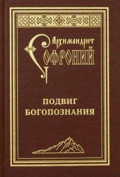 Читайте книги онлайн на Bookidrom.ru! Бесплатные книги в одном клике Софроний Сахаров - Подвиг богопознания. Письма с Афона (к Д. Бальфуру)