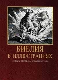 Читайте книги онлайн на Bookidrom.ru! Бесплатные книги в одном клике Библия - Библия в иллюстрациях