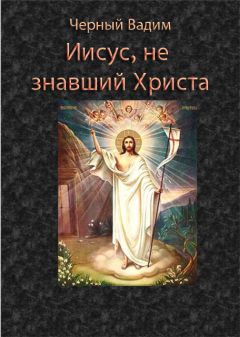 Читайте книги онлайн на Bookidrom.ru! Бесплатные книги в одном клике Вадим Черный - Иисус, не знавший Христа