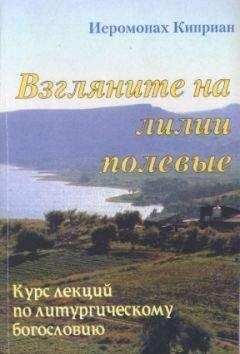 Читайте книги онлайн на Bookidrom.ru! Бесплатные книги в одном клике Киприан Керн - «Взгляните на лилии полевые…» Курс лекций по литургическому богословию