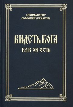 Читайте книги онлайн на Bookidrom.ru! Бесплатные книги в одном клике Софроний Сахаров - Видеть Бога как Он есть