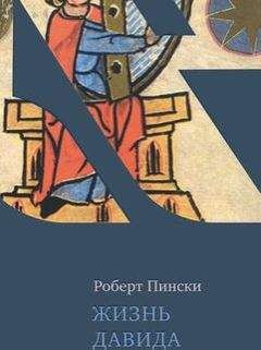 Читайте книги онлайн на Bookidrom.ru! Бесплатные книги в одном клике Роберт Пински - Жизнь Давида