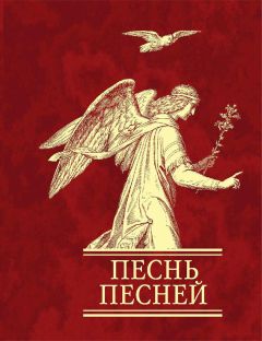 Читайте книги онлайн на Bookidrom.ru! Бесплатные книги в одном клике Священное Писание - Песнь песней