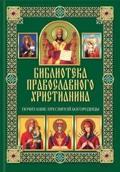 Читайте книги онлайн на Bookidrom.ru! Бесплатные книги в одном клике Павел Михалицын - Почитание Пресвятой Богородицы