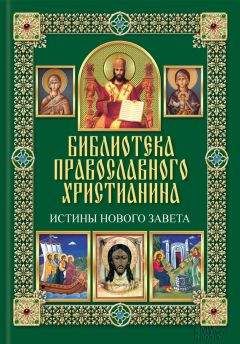 Читайте книги онлайн на Bookidrom.ru! Бесплатные книги в одном клике Павел Михалицын - Истины Нового Завета