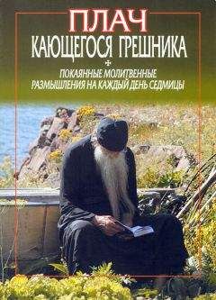 Читайте книги онлайн на Bookidrom.ru! Бесплатные книги в одном клике Фикара Афонский - Плач кающегося грешника. Покаянные молитвенные размышления на каждый день седмицы