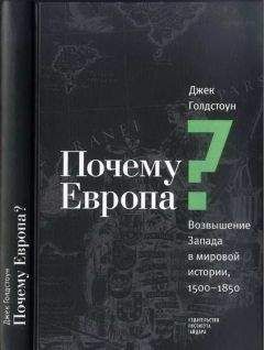 Джек Голдстоун - Почему Европа? Возвышение Запада в мировой истории, 1500-1850