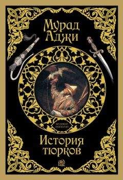 Читайте книги онлайн на Bookidrom.ru! Бесплатные книги в одном клике Мурад Аджи - История тюрков