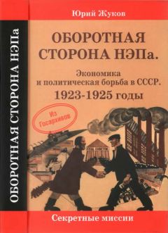 Читайте книги онлайн на Bookidrom.ru! Бесплатные книги в одном клике Юрий Жуков - Оборотная сторона НЭПа. Экономика и политическая борьба в СССР. 1923-1925 годы