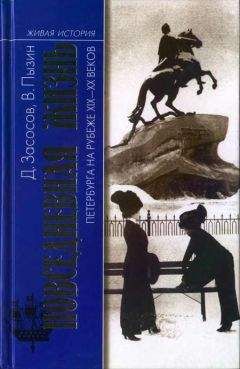 Дмитрий Засосов - Повседневная жизнь Петербурга на рубеже XIX— XX веков; Записки очевидцев
