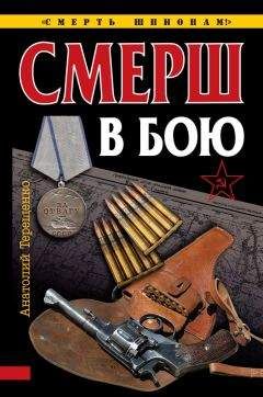 Читайте книги онлайн на Bookidrom.ru! Бесплатные книги в одном клике Анатолий Терещенко - СМЕРШ в бою