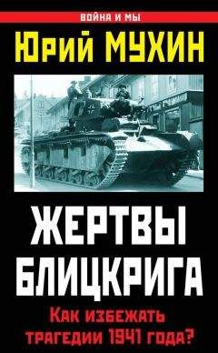 Читайте книги онлайн на Bookidrom.ru! Бесплатные книги в одном клике Юрий Мухин - Жертвы Блицкрига. Как избежать трагедии 1941 года?