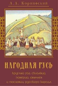 Читайте книги онлайн на Bookidrom.ru! Бесплатные книги в одном клике Аполлон Коринфский - Народная Русь