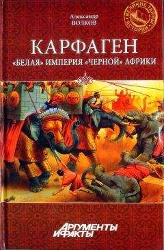 Читайте книги онлайн на Bookidrom.ru! Бесплатные книги в одном клике Александр Волков - Карфаген. "Белая" империя "чёрной" Африки