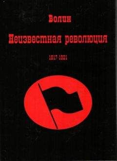 Читайте книги онлайн на Bookidrom.ru! Бесплатные книги в одном клике Всеволод Волин - Неизвестная революция 1917-1921