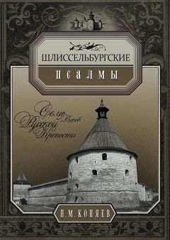 Читайте книги онлайн на Bookidrom.ru! Бесплатные книги в одном клике Николай Коняев - Шлиссельбургские псалмы. Семь веков русской крепости